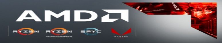 AMD
